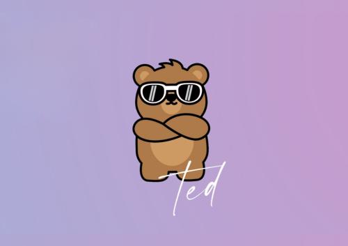 TED FRANCHISE